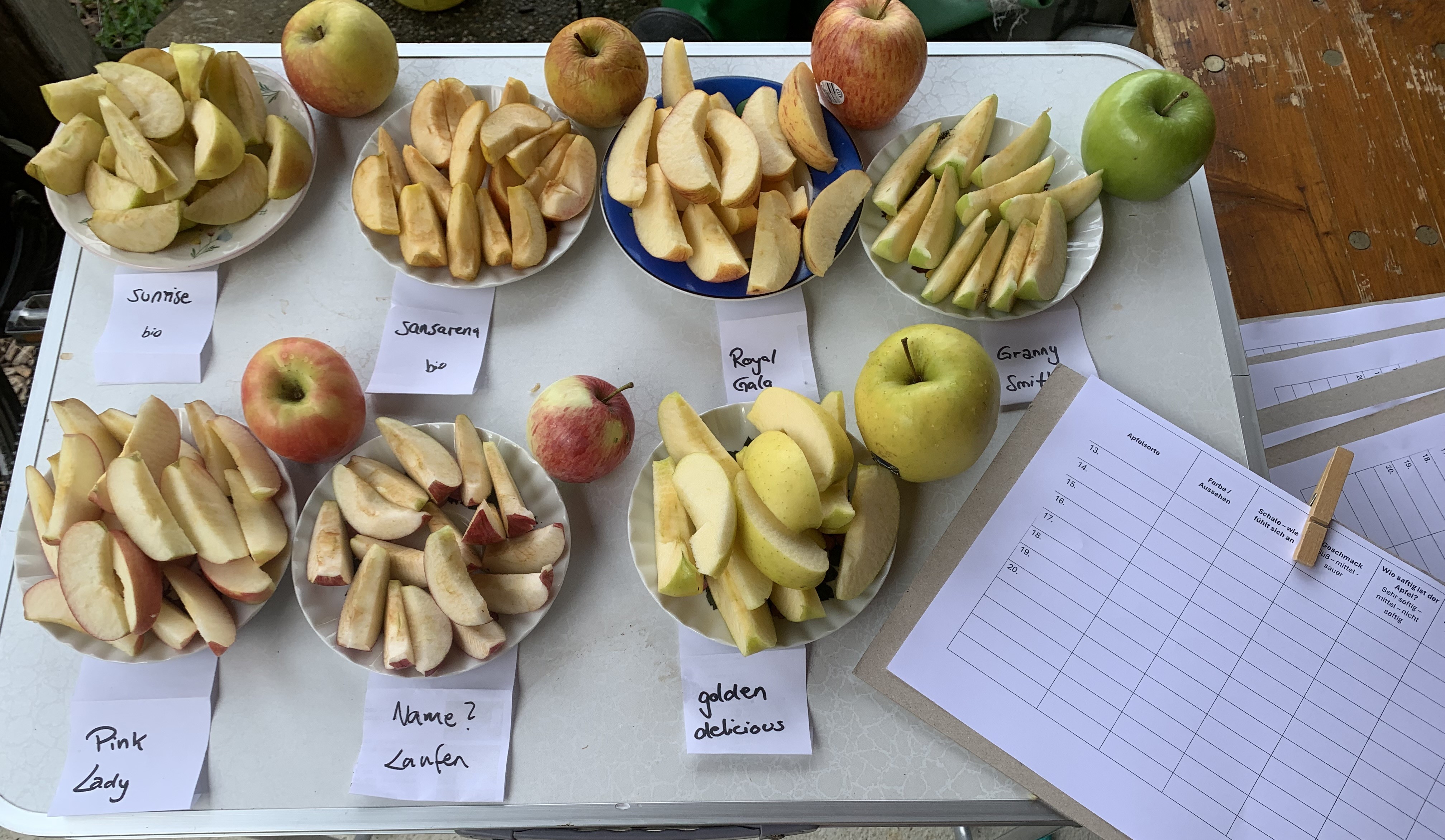 Kinder probieren Apfelsorten